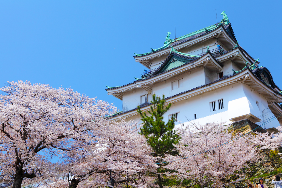 芝本和己 5つの理念【知】：学び、考え続ける心